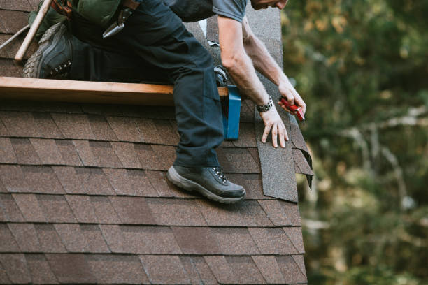 Best Metal Roofing Contractor  in Rogers, AR